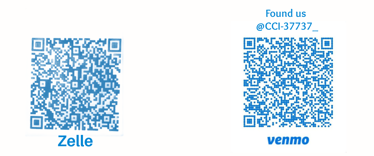 payment Link